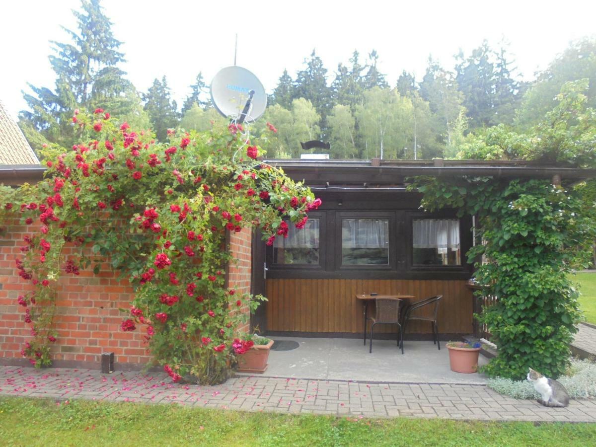 Bergfreiheit Villa เชียร์เคอ ภายนอก รูปภาพ